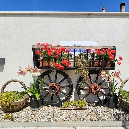 Apartmán Olimpia 1 Novigrad Istria