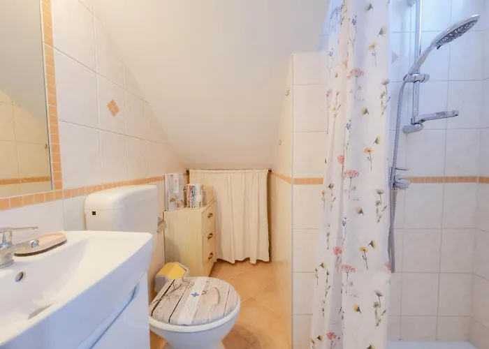 Olimpia 1 Novigrad Istria